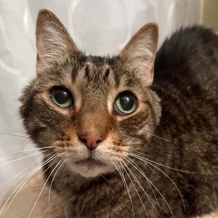 Full body shot of Tigger