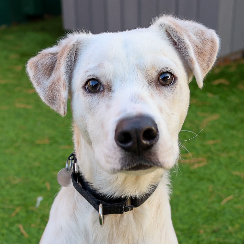 Oasis — thumbnail 5