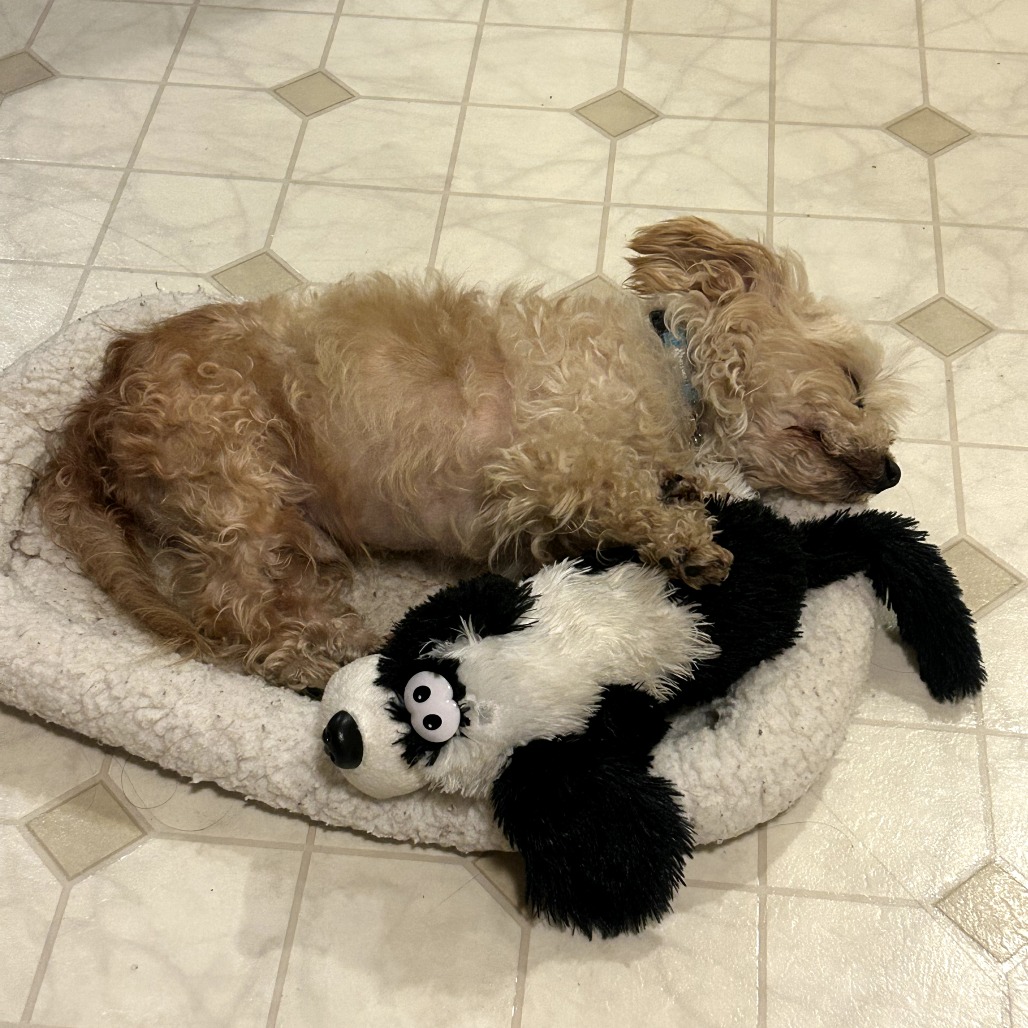 Walter, photo 2