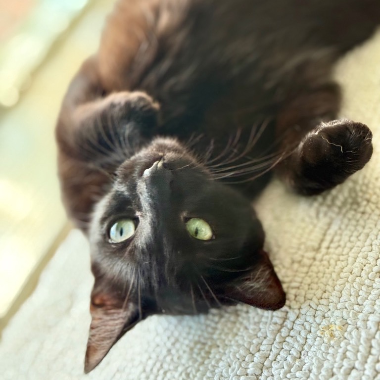 Full body shot of Sundae