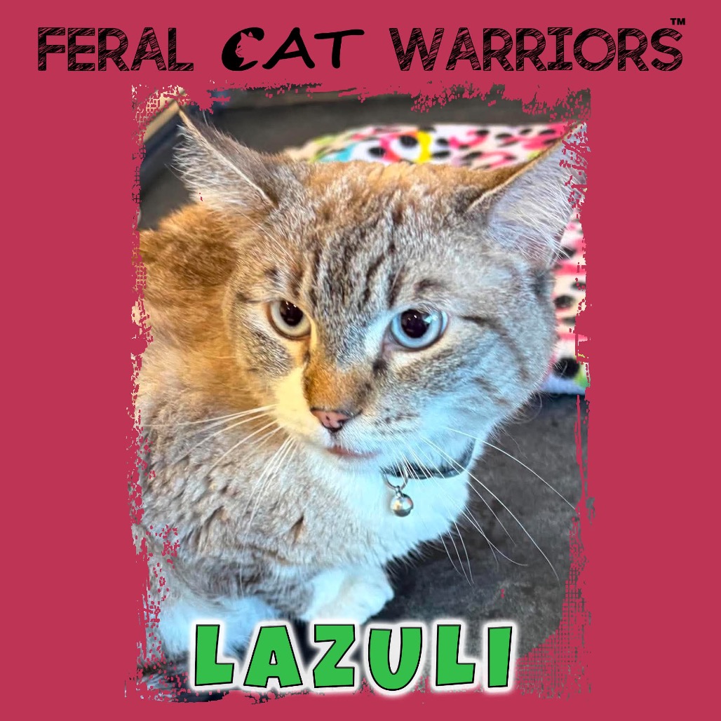 Lazuli