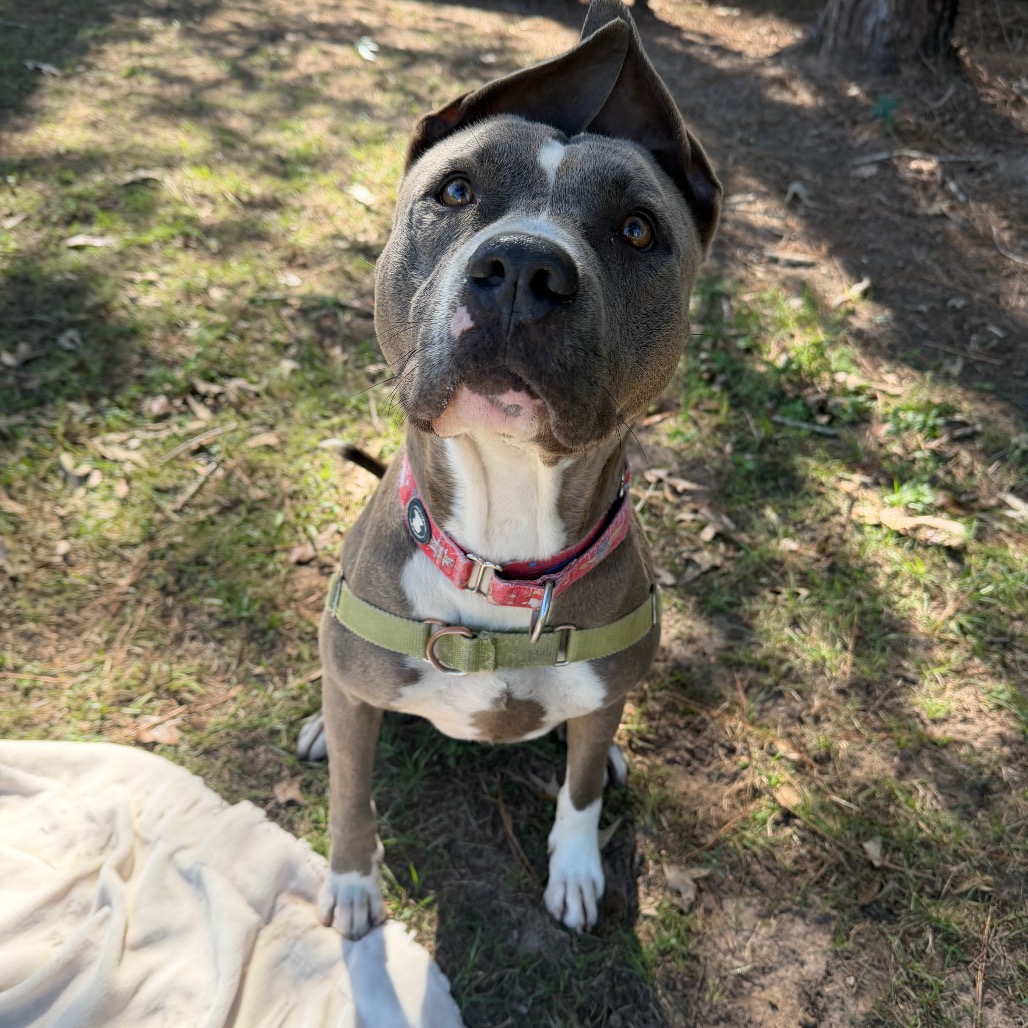 Hondo, photo 21