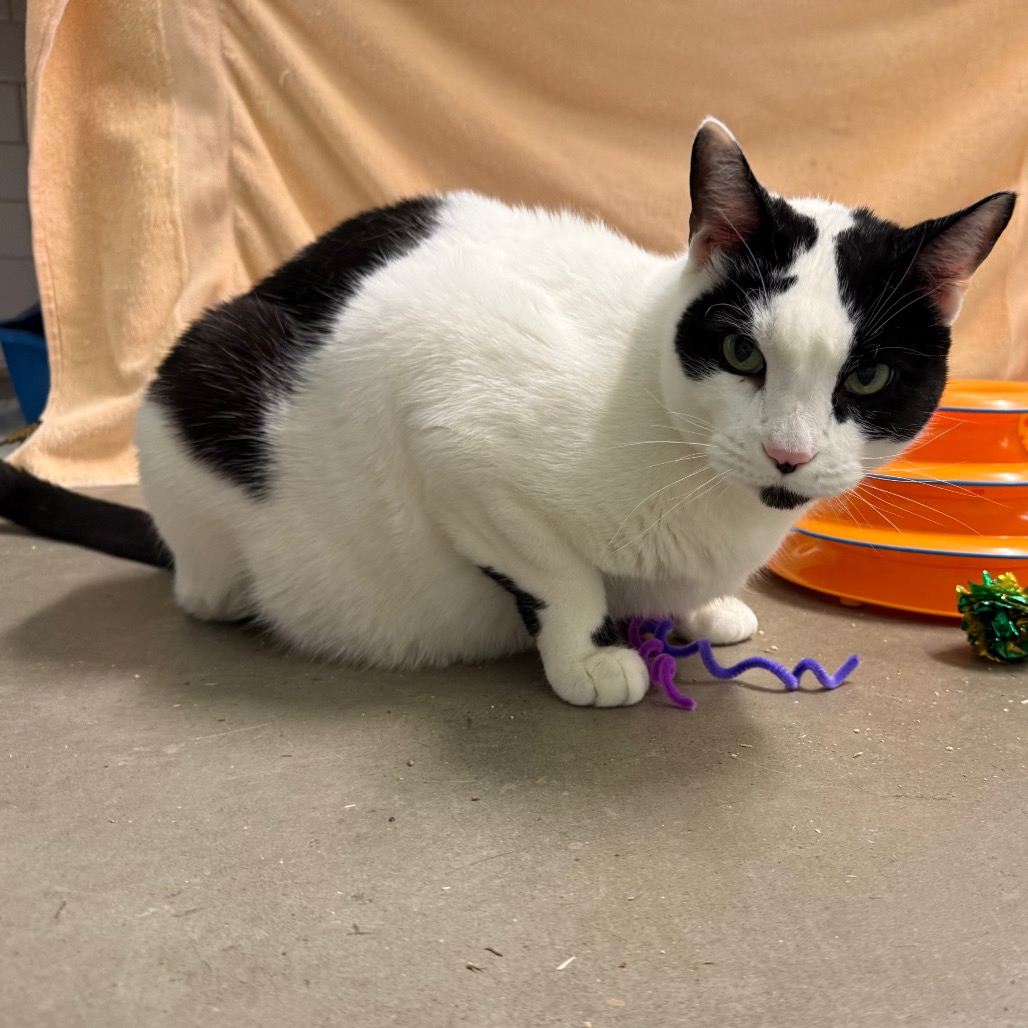 Photo of QZ and Freddy 17