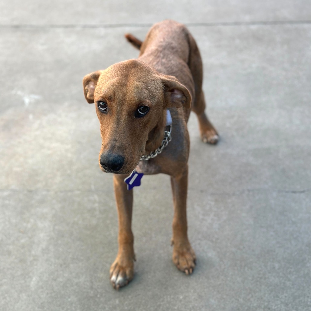 Hannah — thumbnail 2