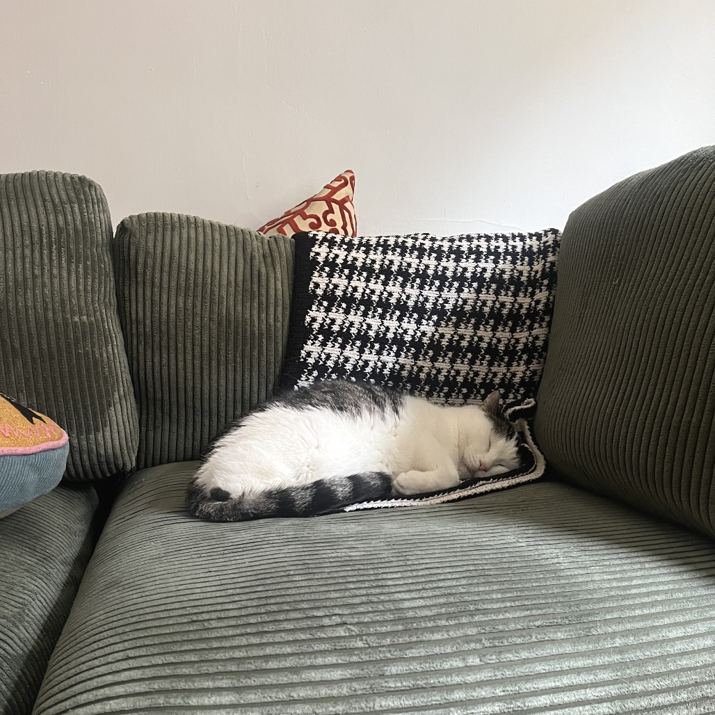 Rabi — thumbnail 4