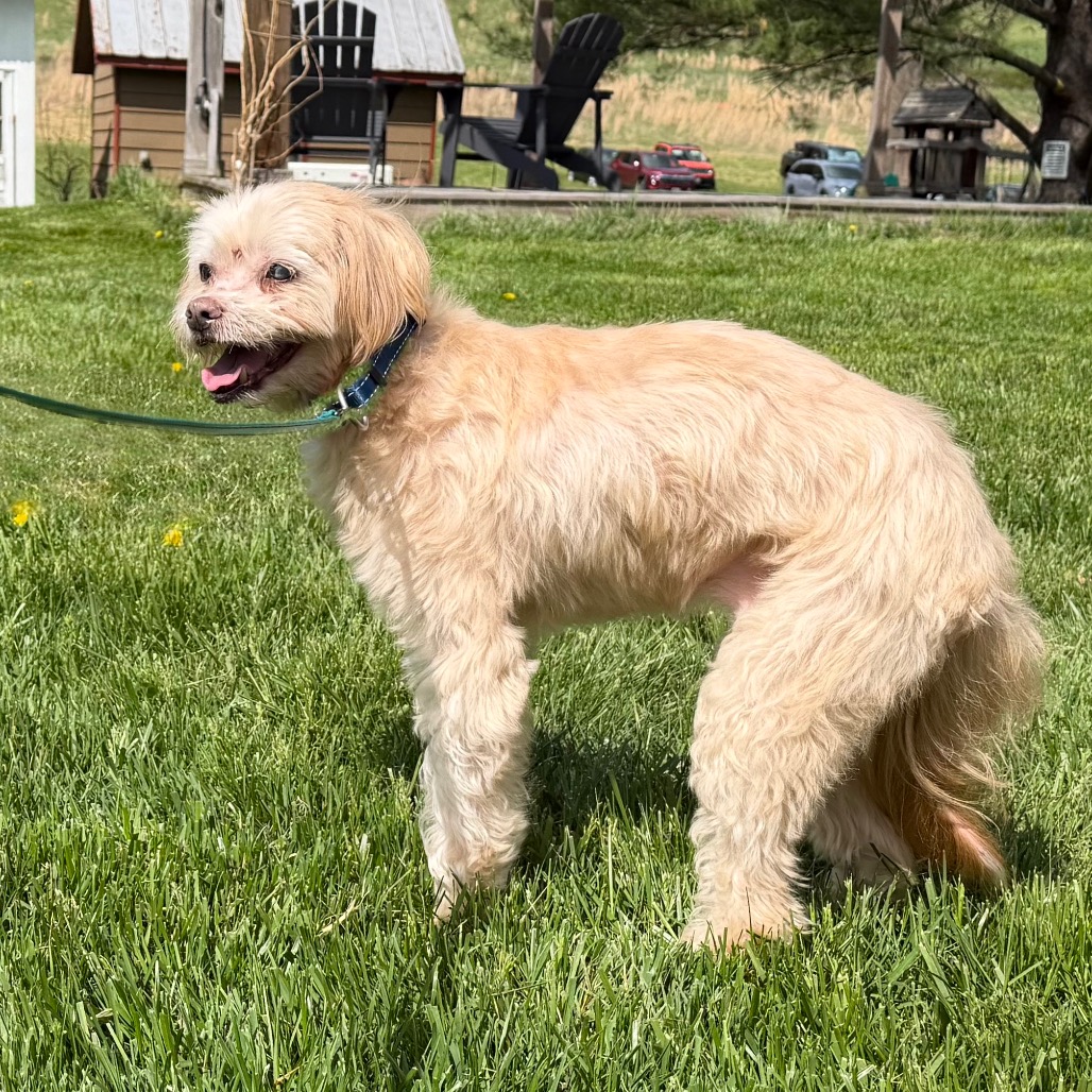 Crouton (Jelani), photo 15