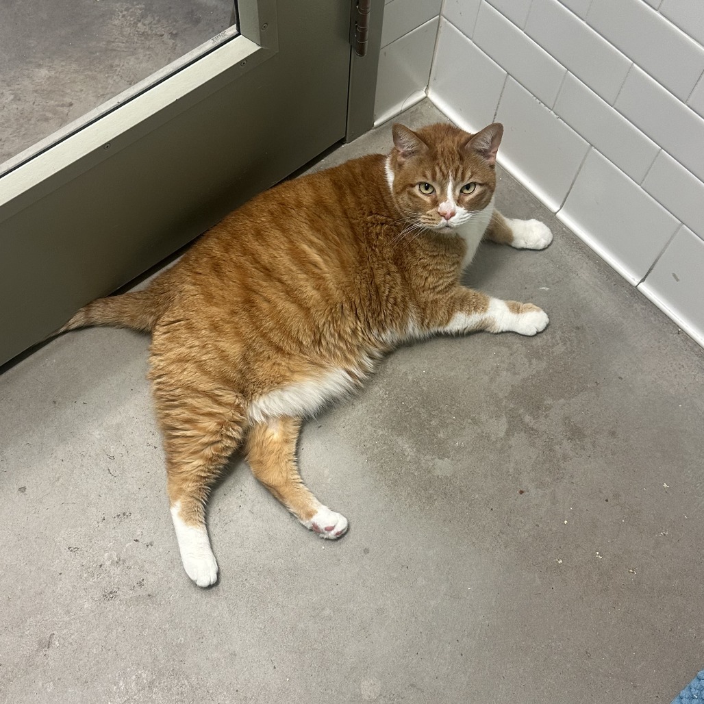 Photo of Freddy and QZ 18