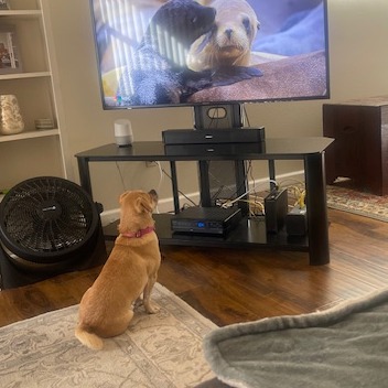 Thelma — thumbnail 4