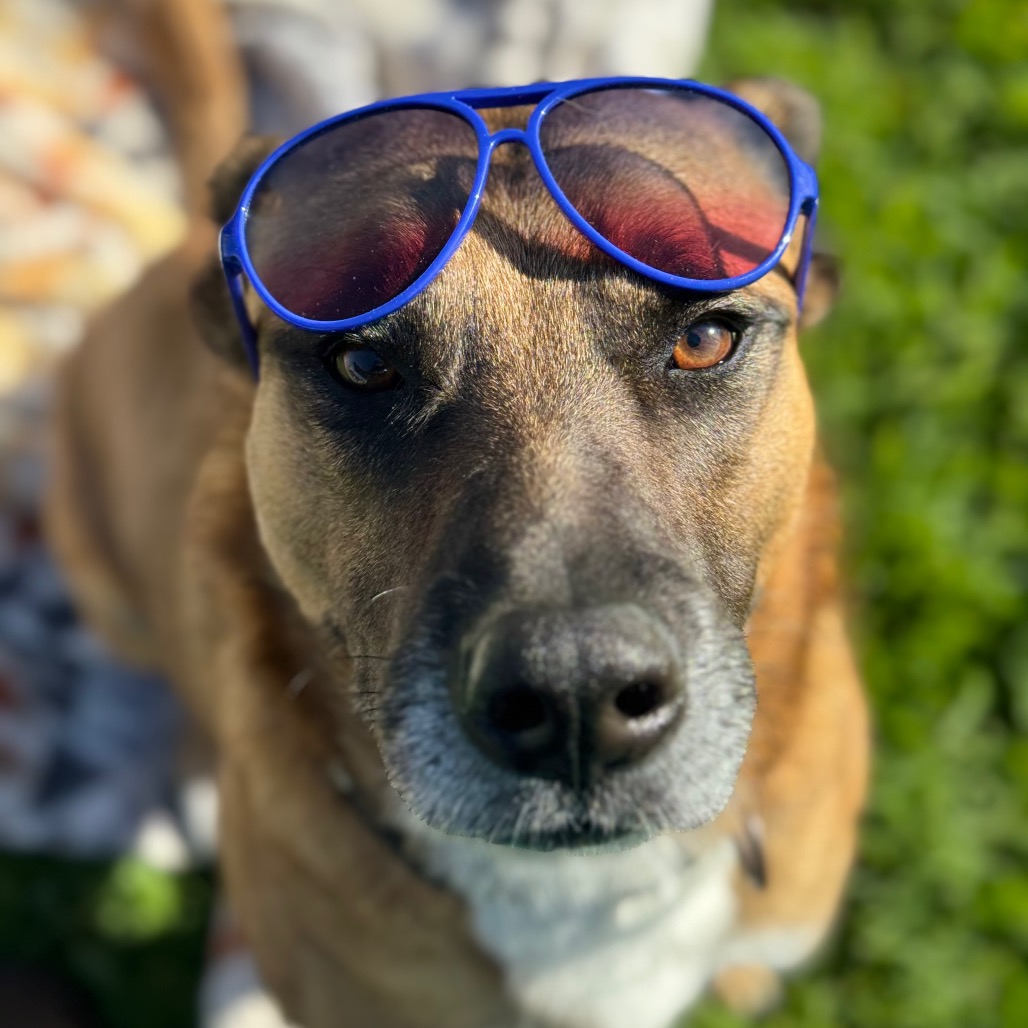 Bubz, photo 26