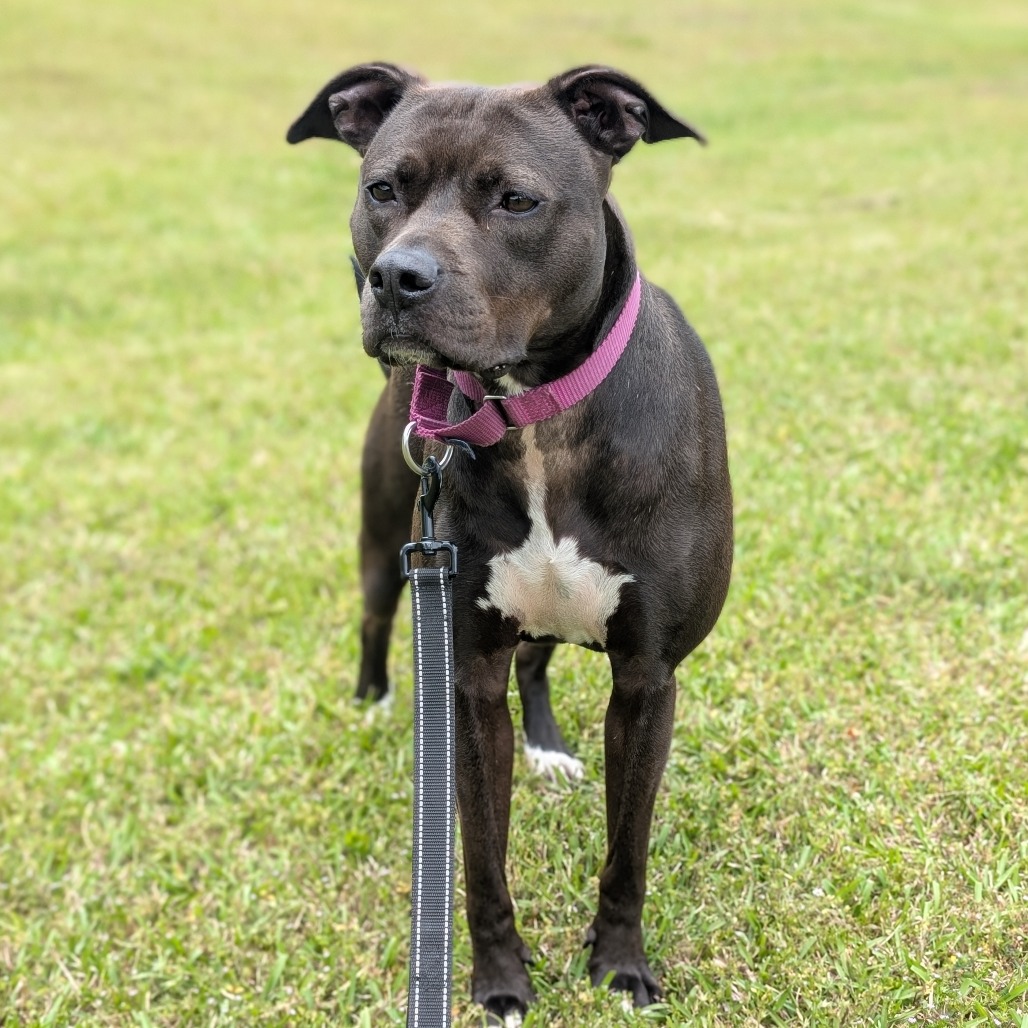 Milly 02-1509, photo 8