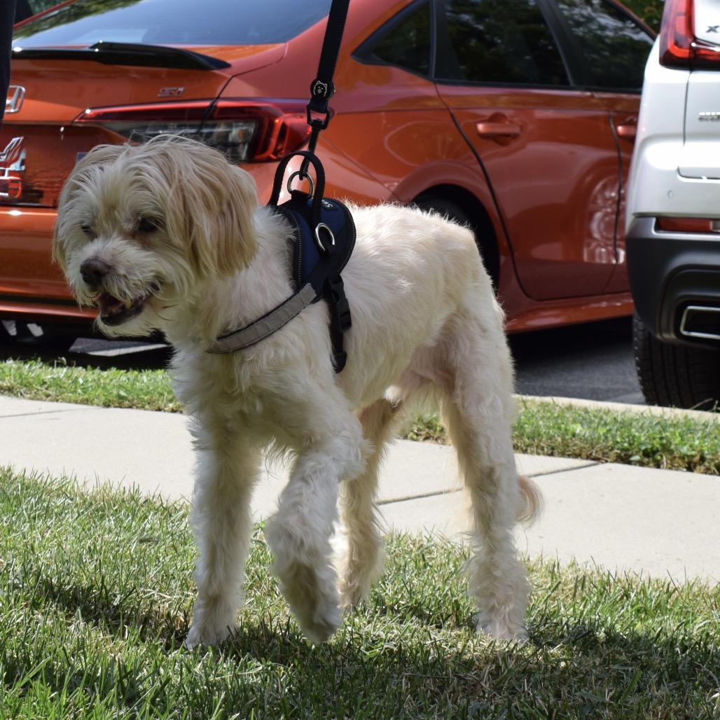 Crouton (Jelani), photo 5