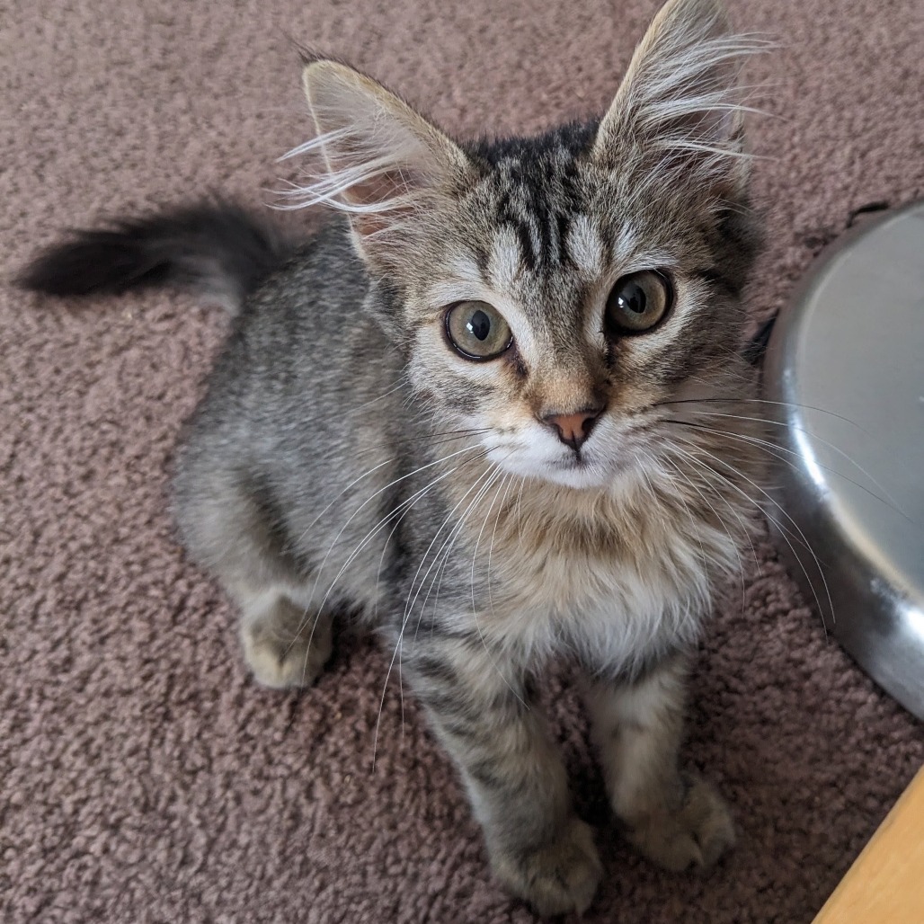 Freya, photo 4