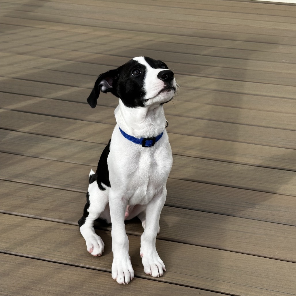 Lightning — thumbnail 3