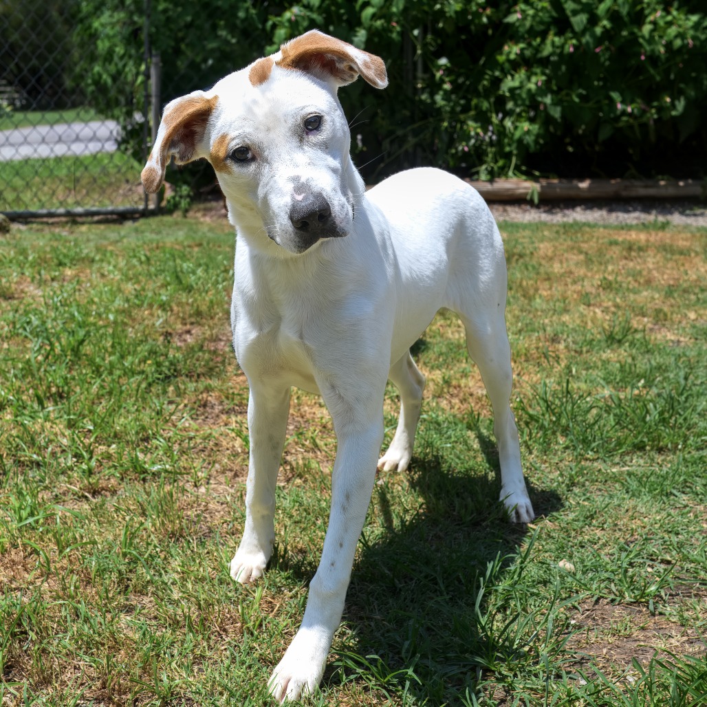 Photo of Laney