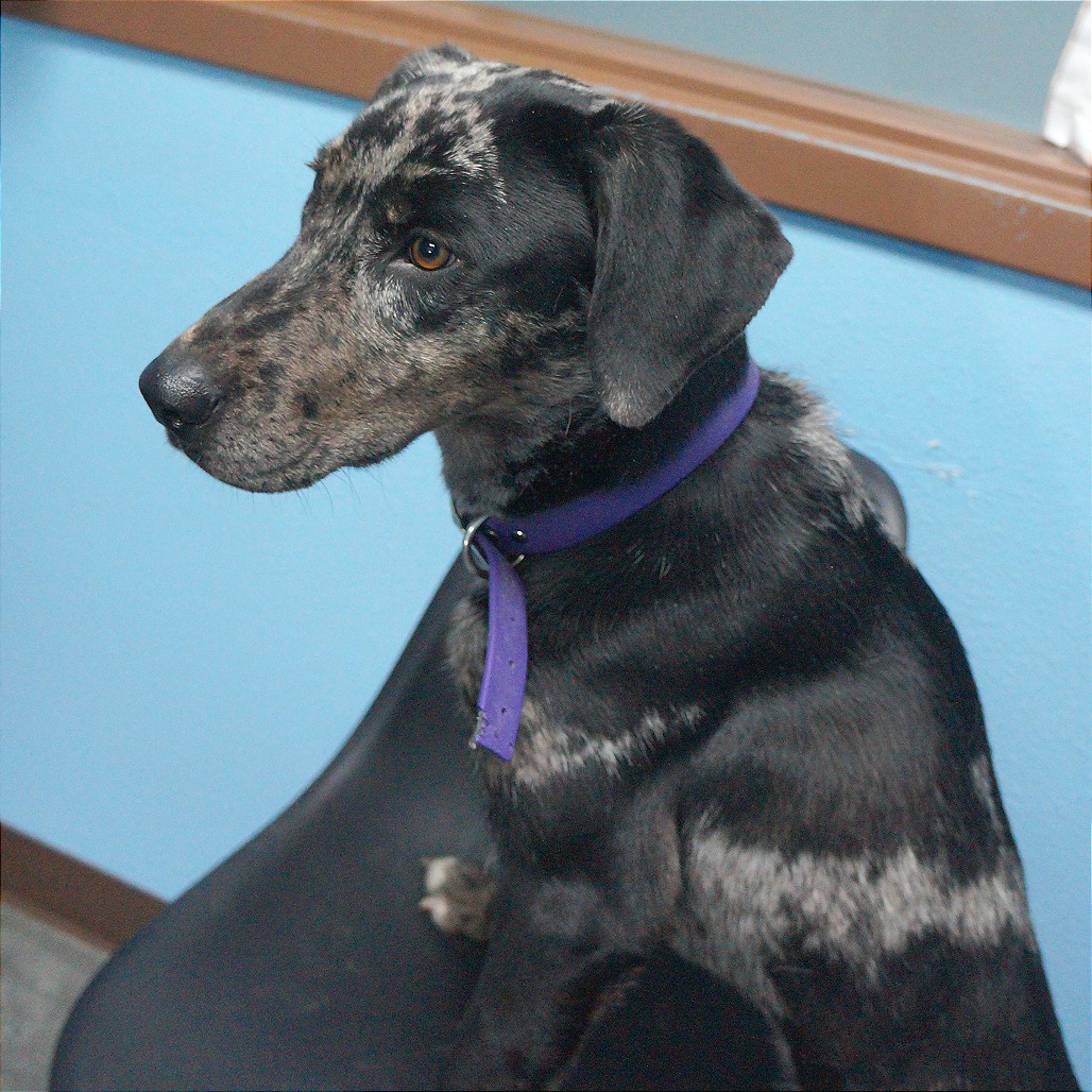 Vicky — thumbnail 9