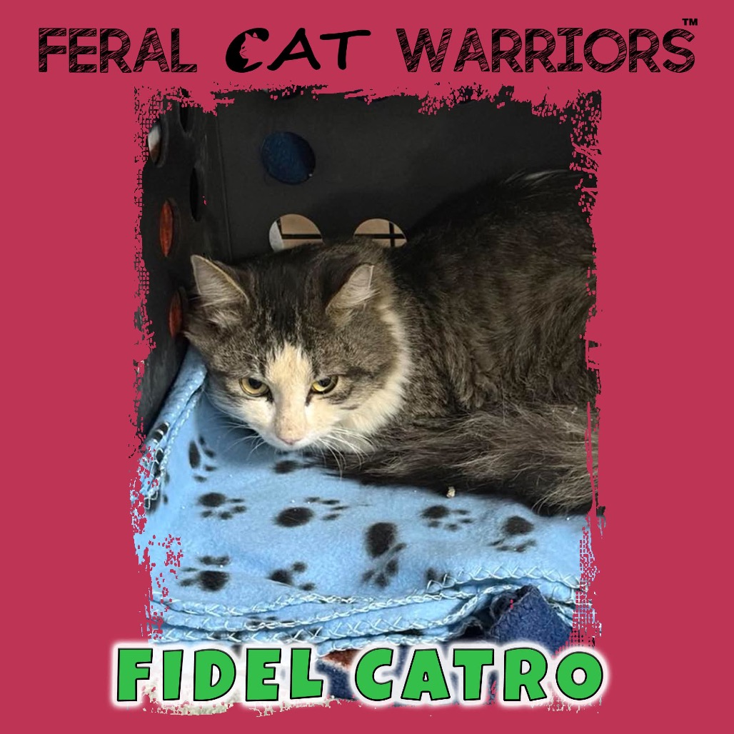 Fidel Catro