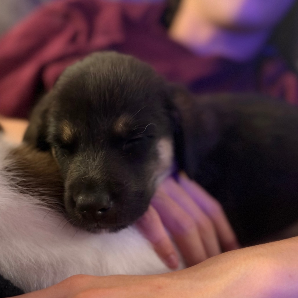 Doug, photo 3 of 11