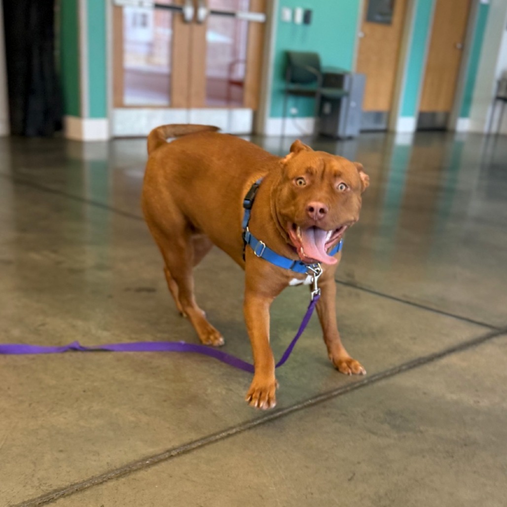 Photo of Charybdis 3