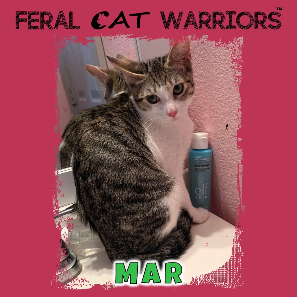 Mar