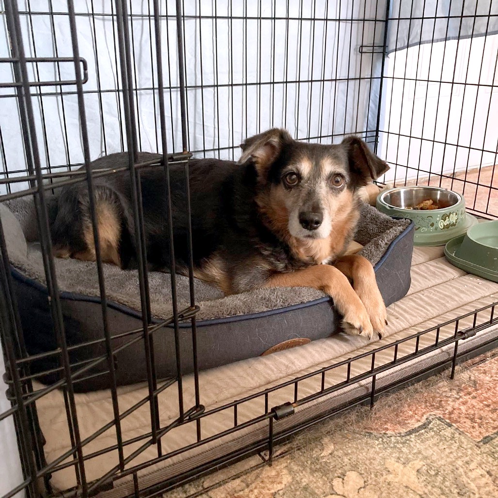 Belinda, photo 26