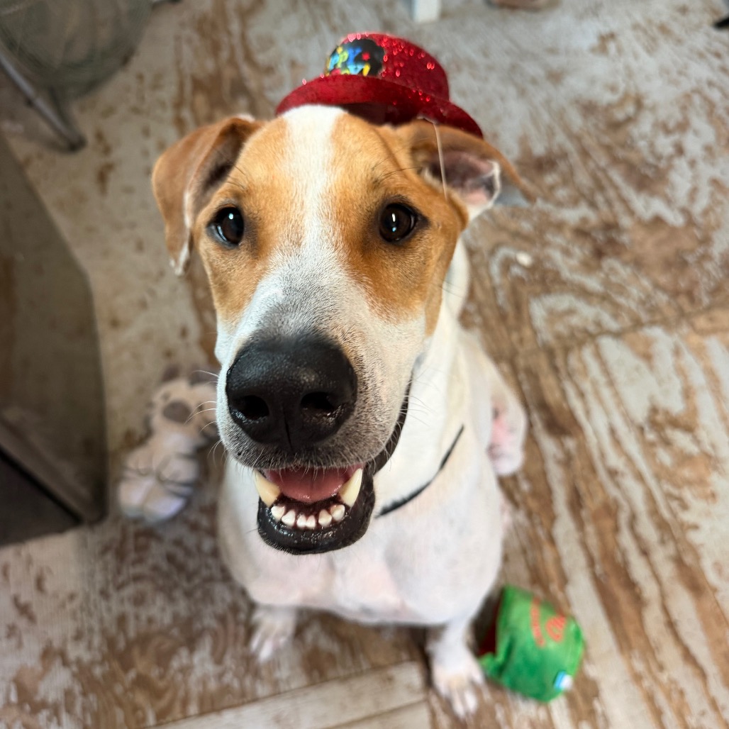 DIEGO JR., photo 22