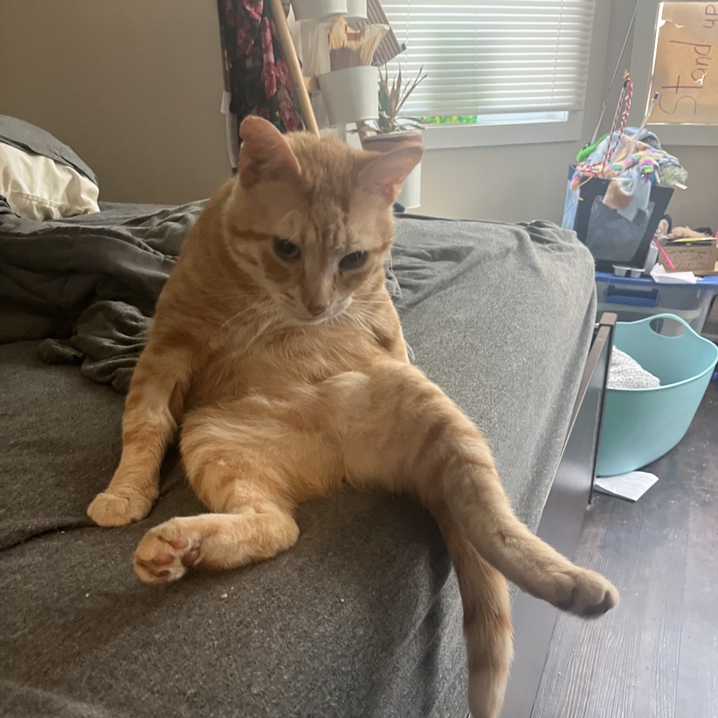Paco, photo 25