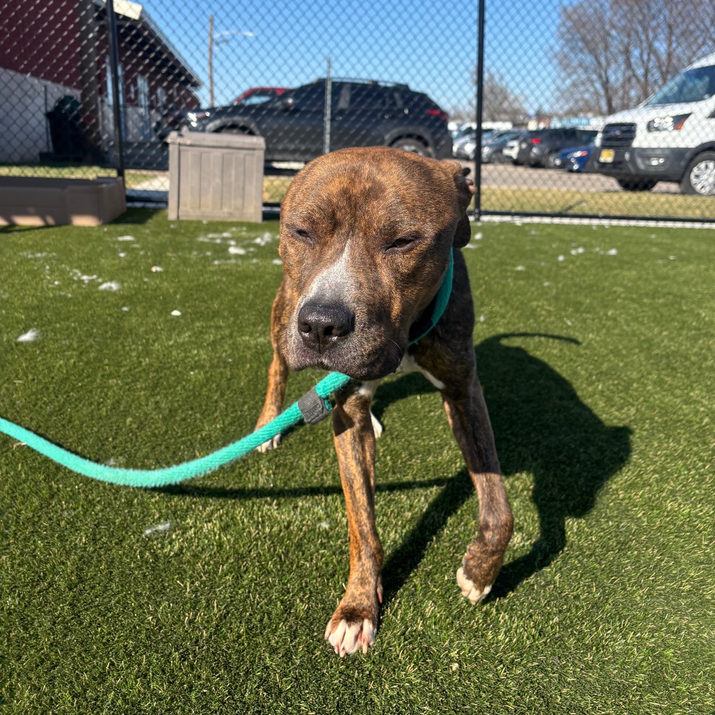 Buddy Lee — thumbnail 3