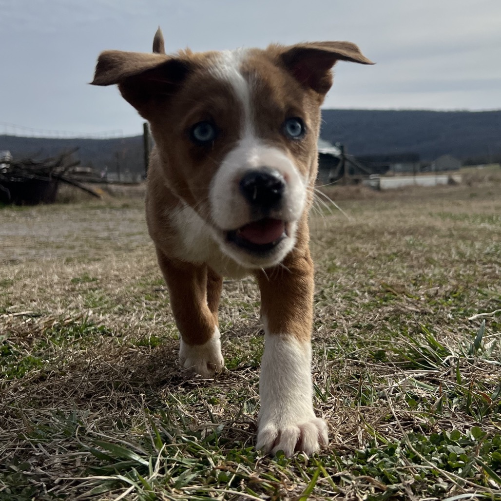 Maysilee — thumbnail 2