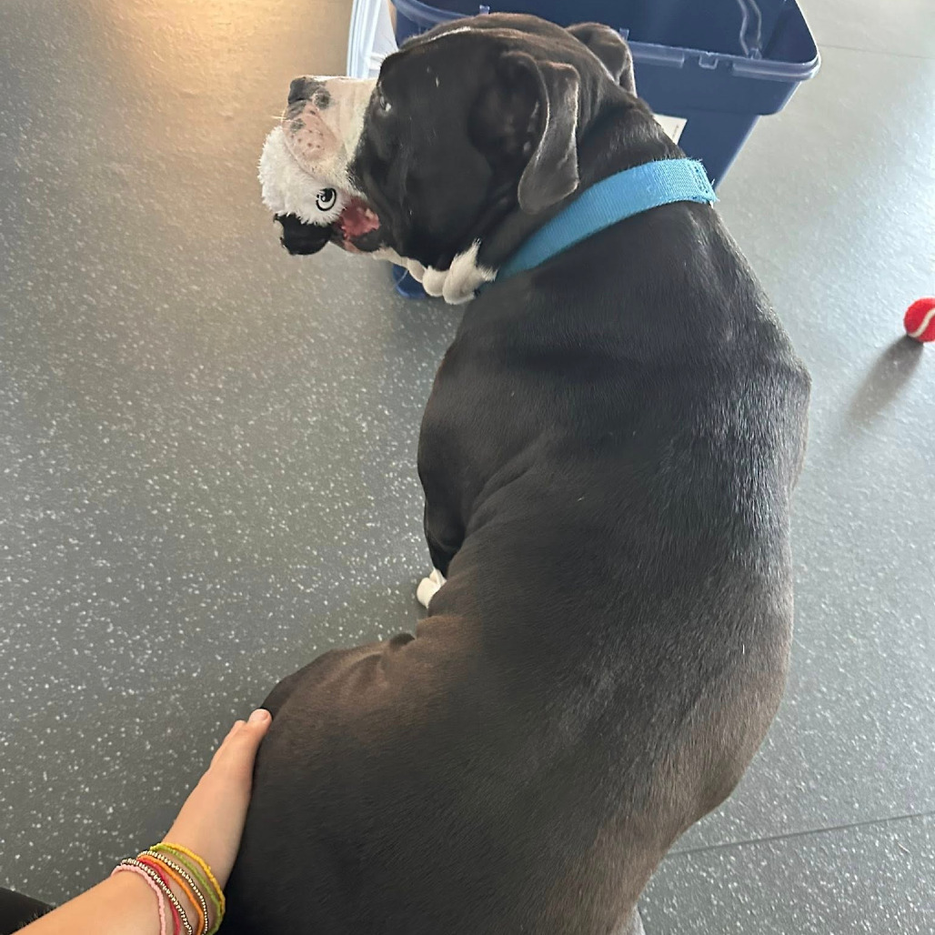 Photo of Jeanie 30