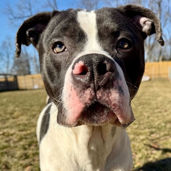 Don Gerald — thumbnail 2