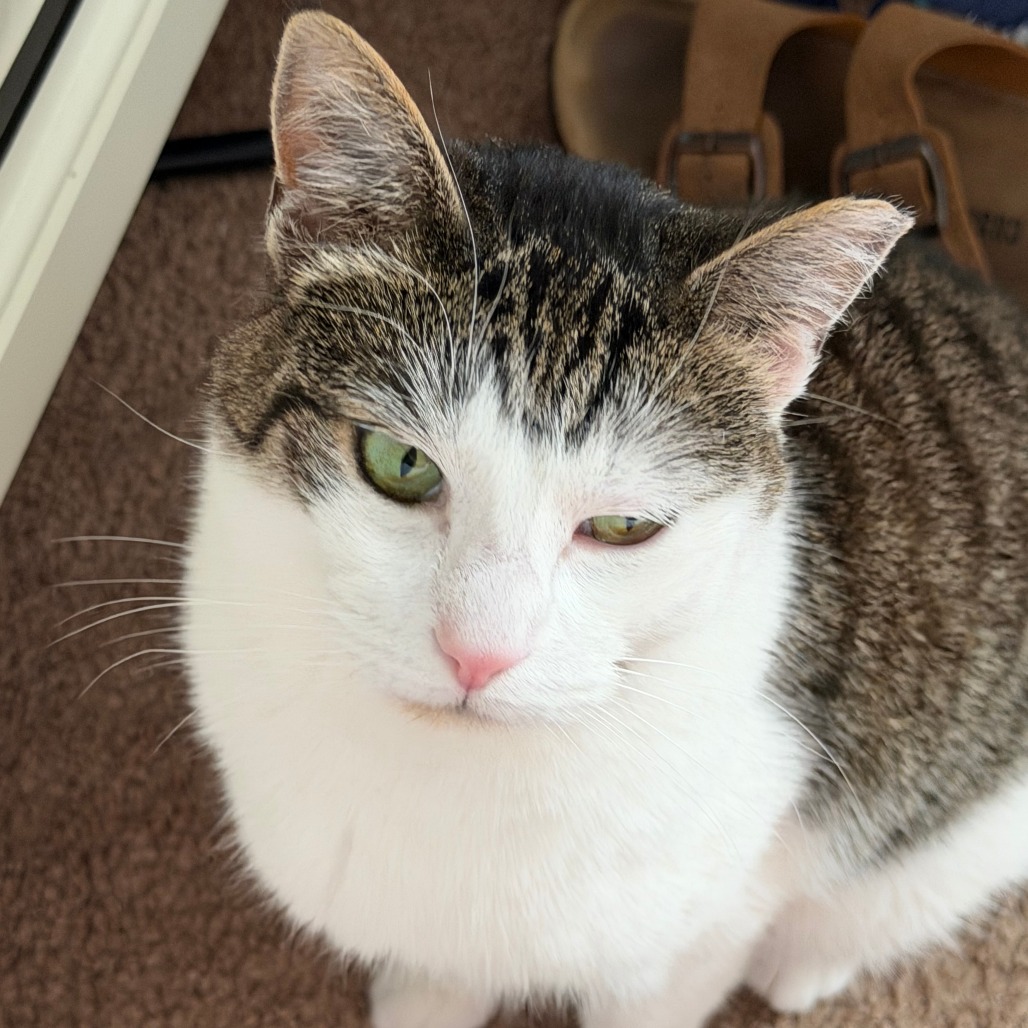 Lucy, photo 24