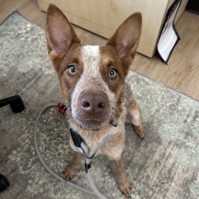 Cash — thumbnail 4