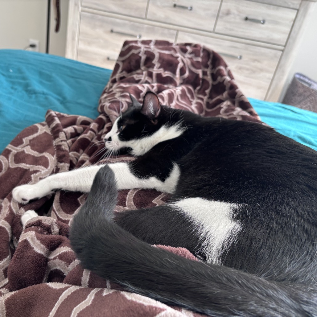 Charlie, photo 15