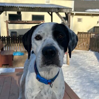 Domino — thumbnail 5