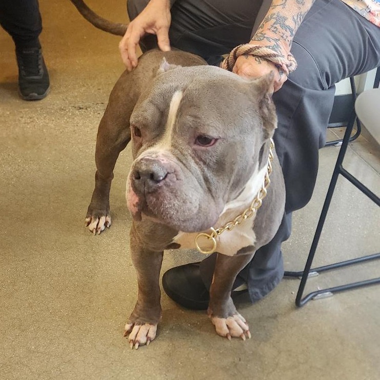 0db11c4bde7b2d9cced271baa81bbe18