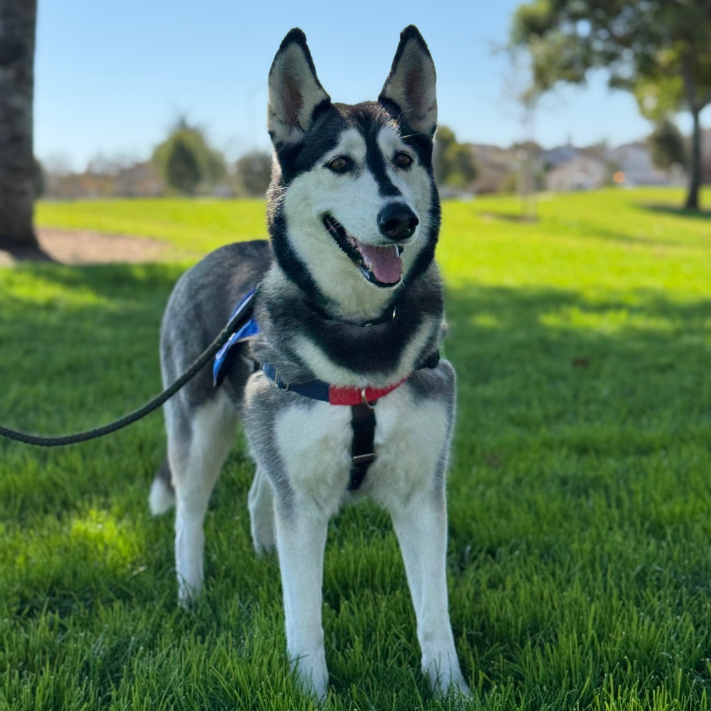 Tundra, photo 17