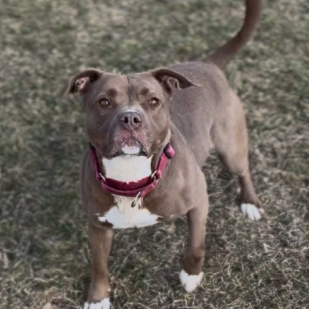 Nala — thumbnail 4