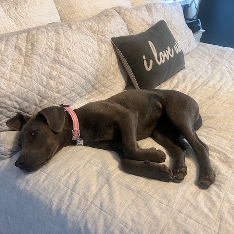 Willa — thumbnail 3