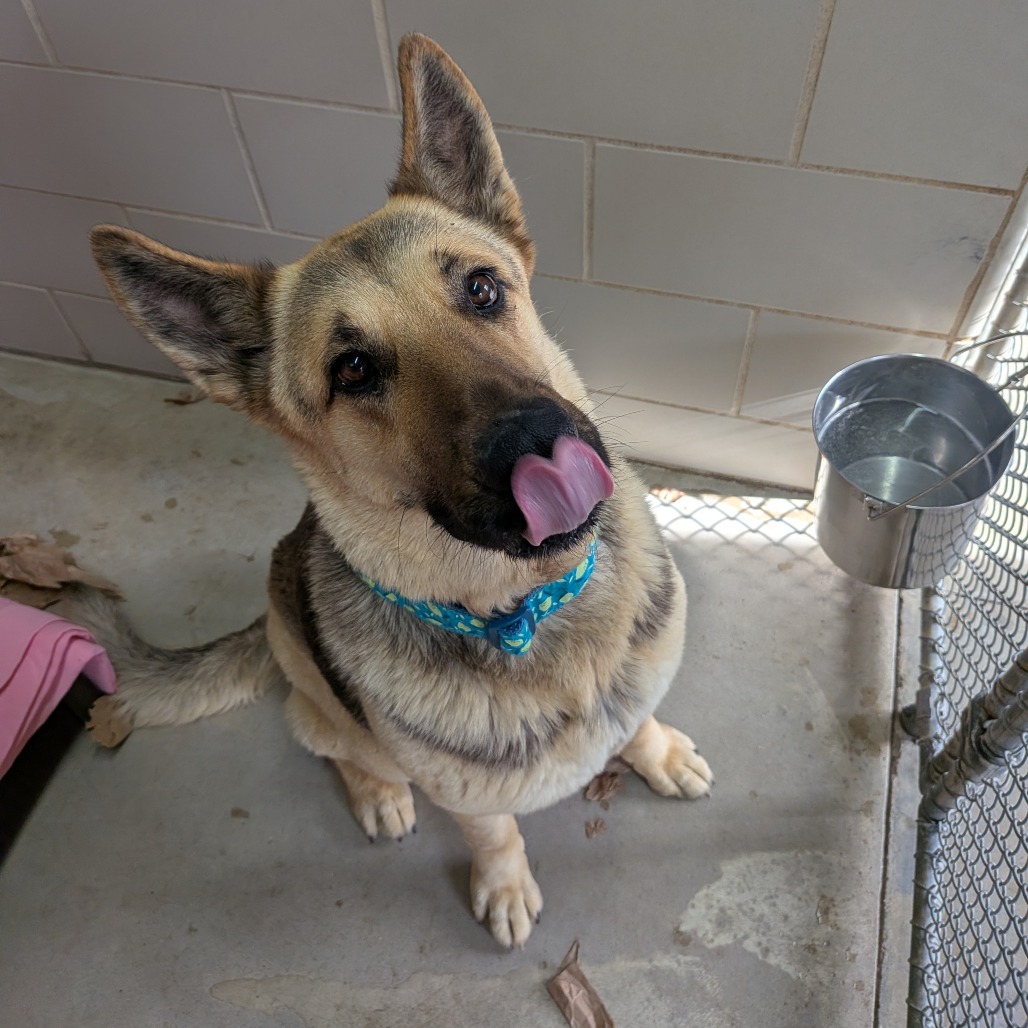 Chili — thumbnail 2