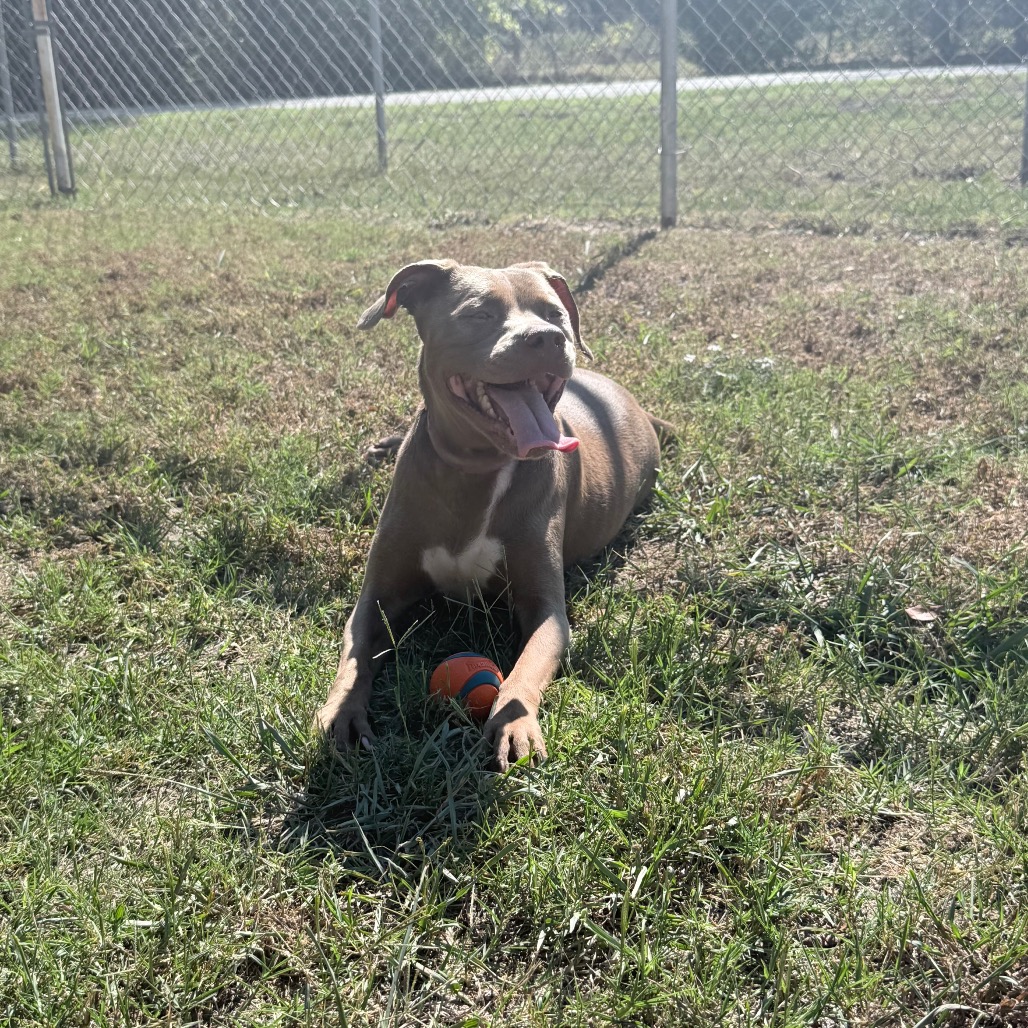 Bella photo 3