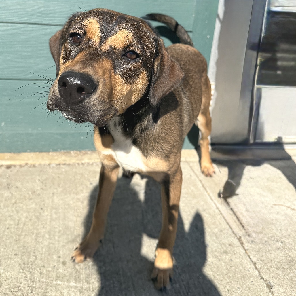 Cherry — thumbnail 11