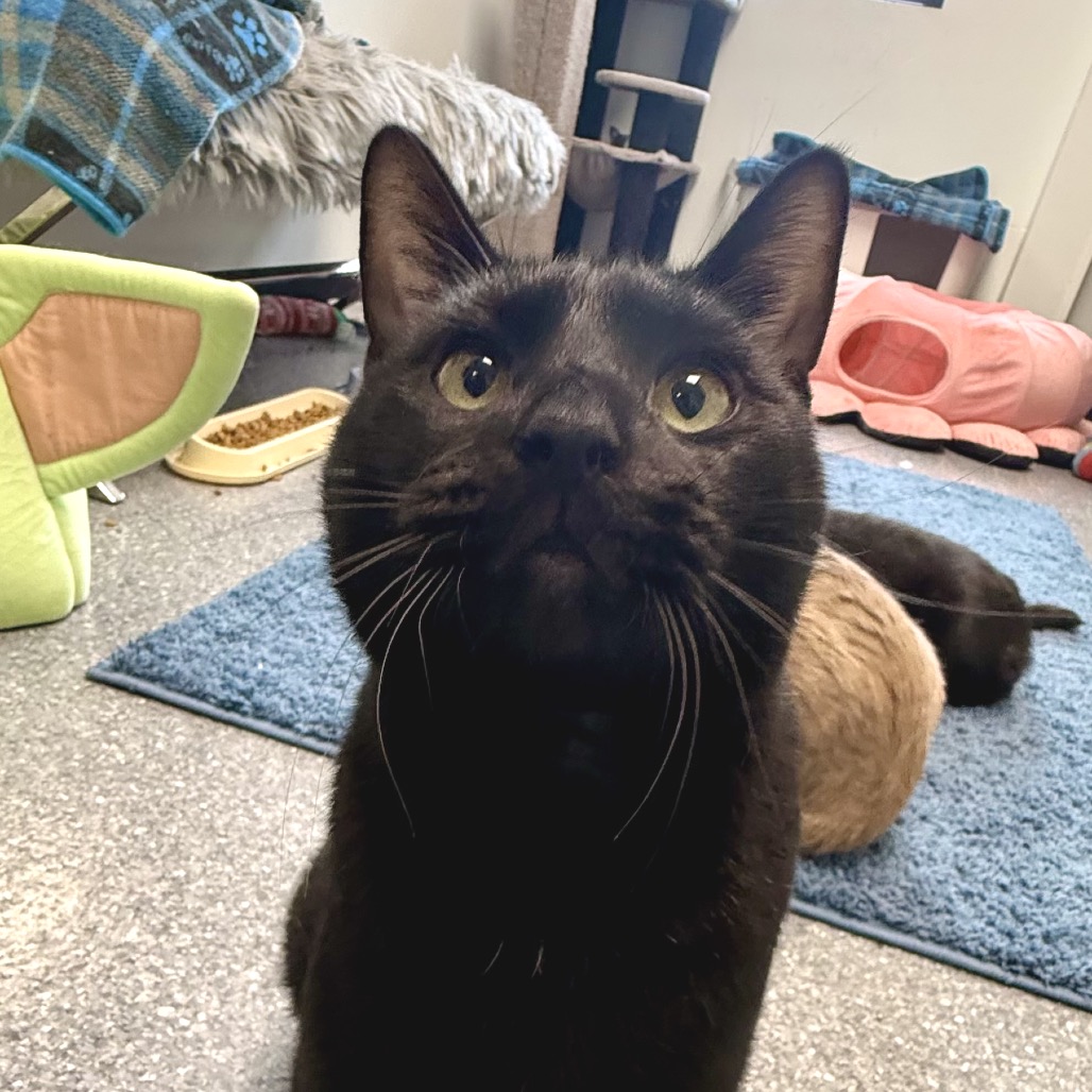 Sebastian