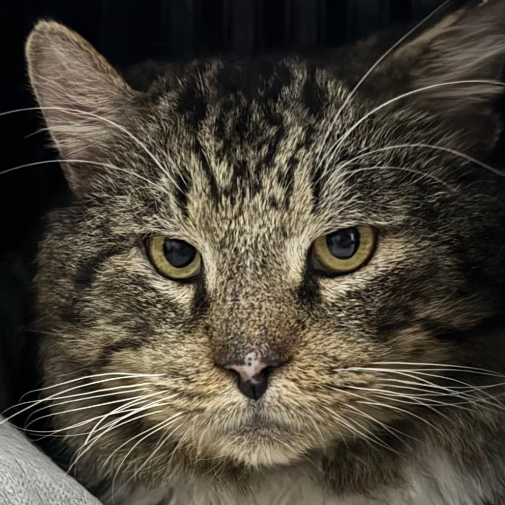 Kroger — thumbnail 4