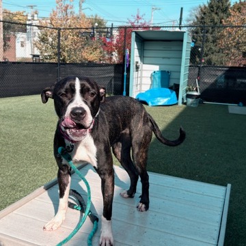 Photo of Stella 5