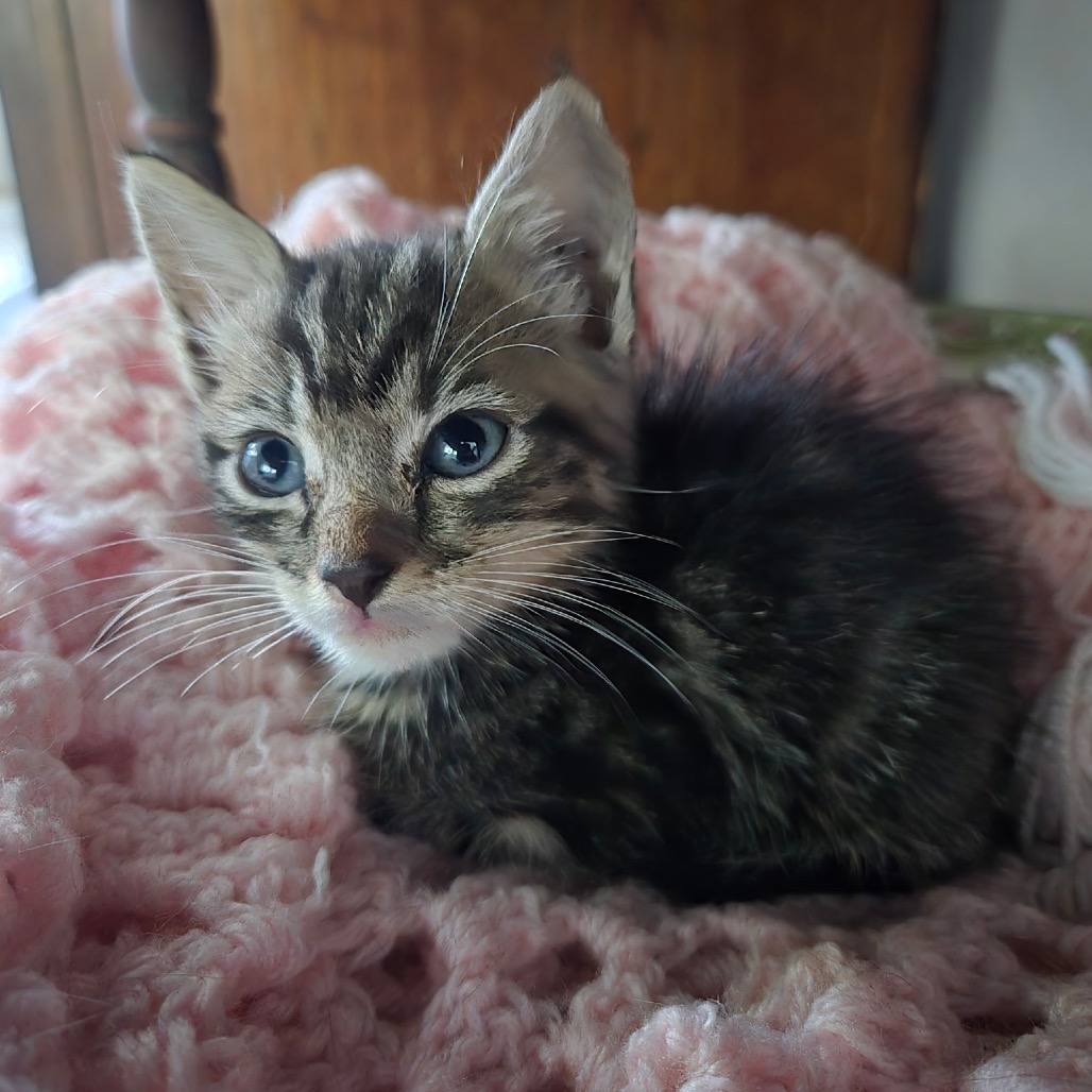 Newbie S1 - help us name this newbie! Image