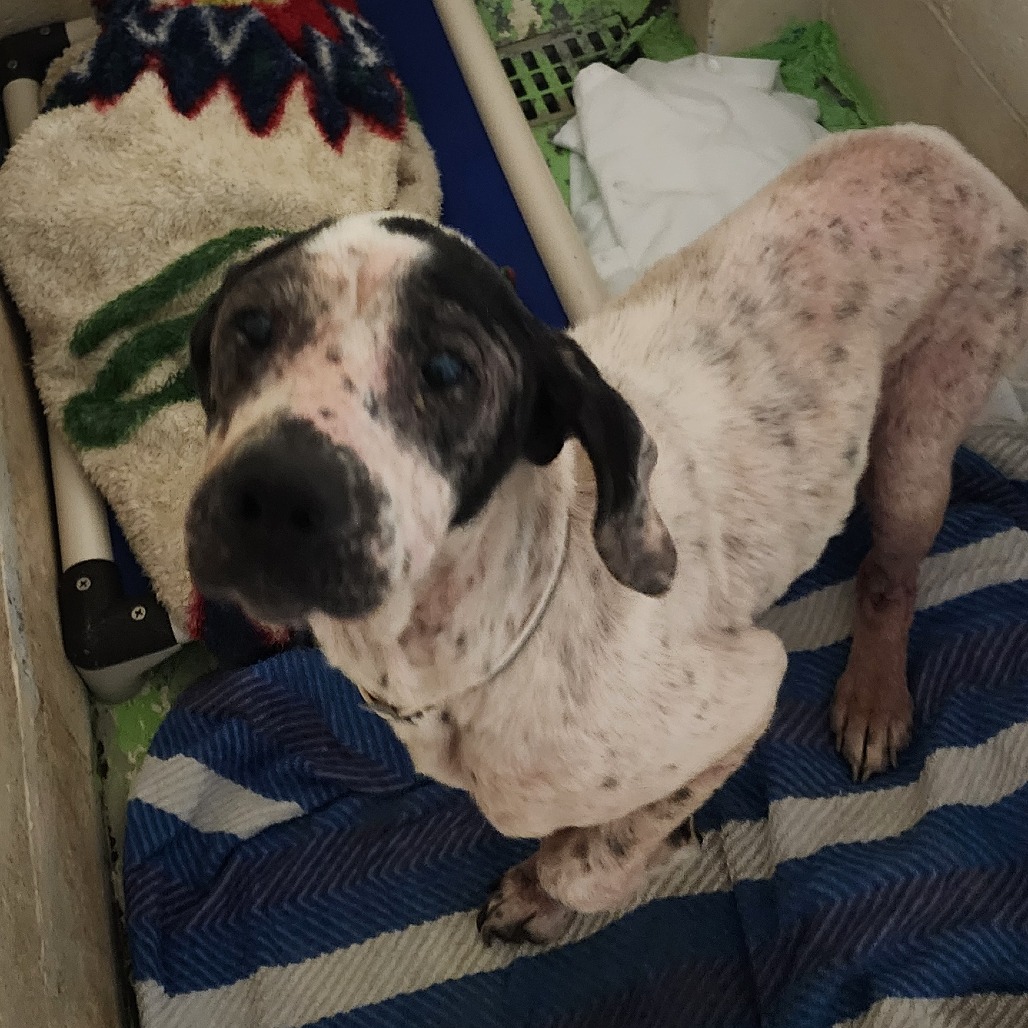 Sweet Loaf — thumbnail 2