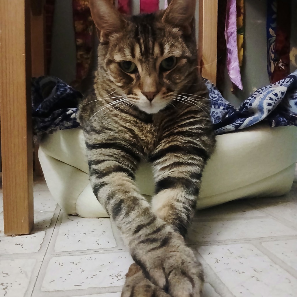 Tigger picture #6