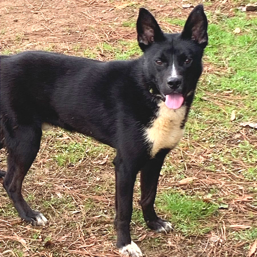 Cody — thumbnail 8