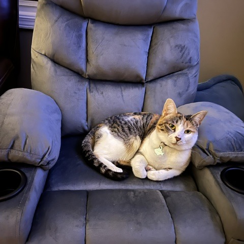 Gina