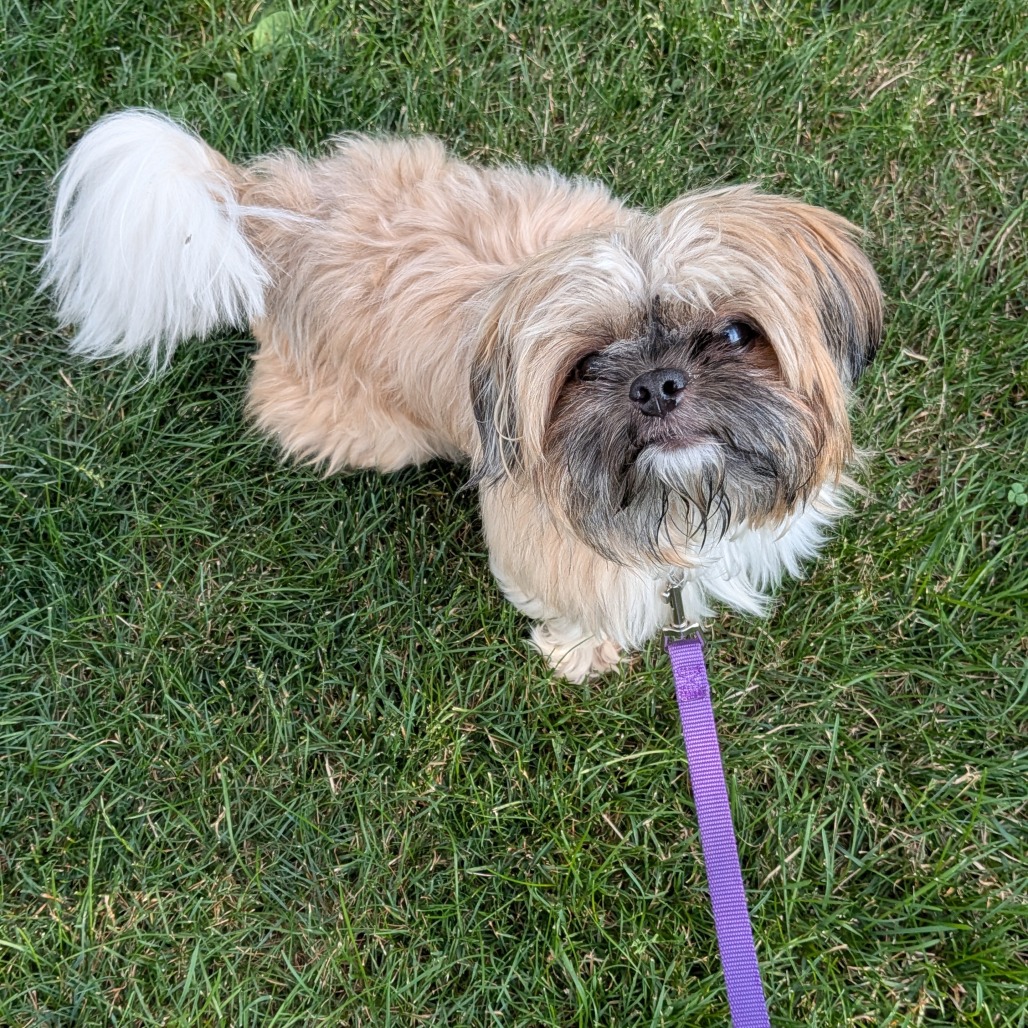 Photo of Marvin
